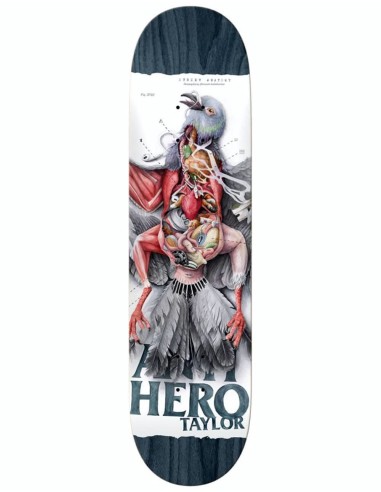 Anti Hero Taylor Street Anatomy Skateboard Deck - 8.5" les muscles