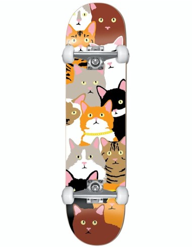 Enjoi Litter Box Premium Complete Skateboard - 8" de technologie