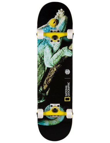 Element x National Geographic Iguana Complete Skateboard - 8" s'inspire de l'anatomie humaine