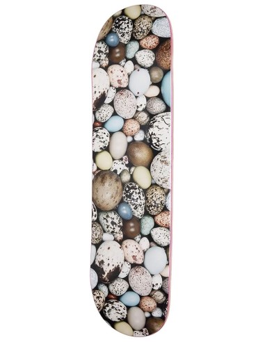 Alltimers Eggs Skateboard Deck - 8" Amélioration de cerveau avec