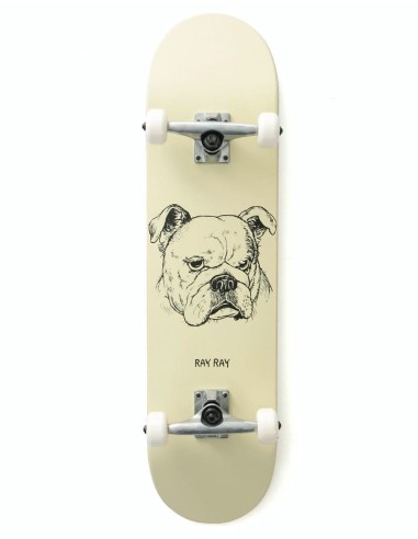 Chocolate Tershy Big Dawg Complete Skateboard - 8" Amélioration de cerveau avec